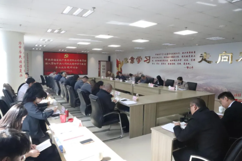 省物產集團黨委召開深入貫徹中央八項規(guī)定精神學習教育第二次專題研討會