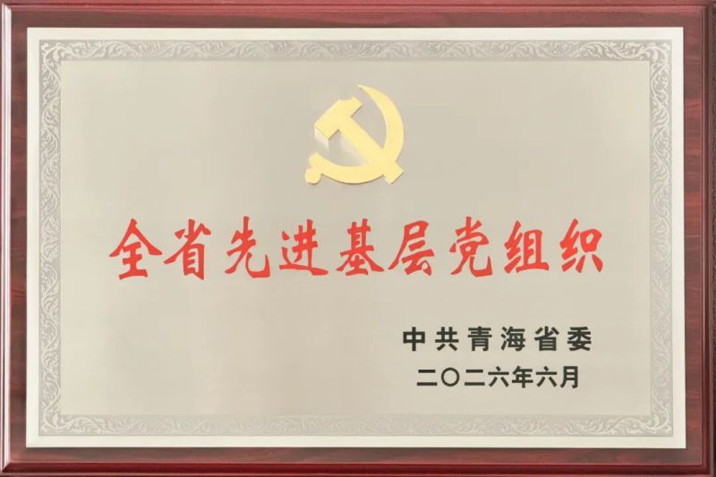 喜報！省物產集團黨委及所屬集體個人榮獲全省和省國資委系統&ldquo;兩優一先&rdquo;表彰