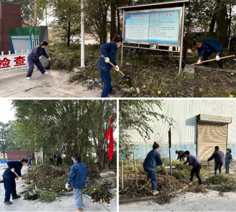 公司兩級黨組織 團支部聯(lián)合行動 組織開展&ldquo;清除雜草 美化環(huán)境&rdquo; 主題黨日 團日活動